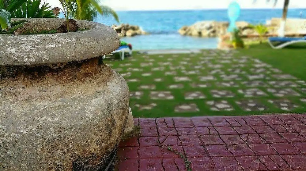 Apartment Idyllic Beachfront Condo Ocho Rios Jamaica
