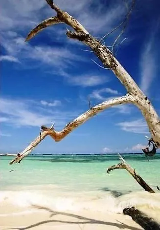 Idyllic Beachfront Condo オーチョ・リオス ジャマイカ